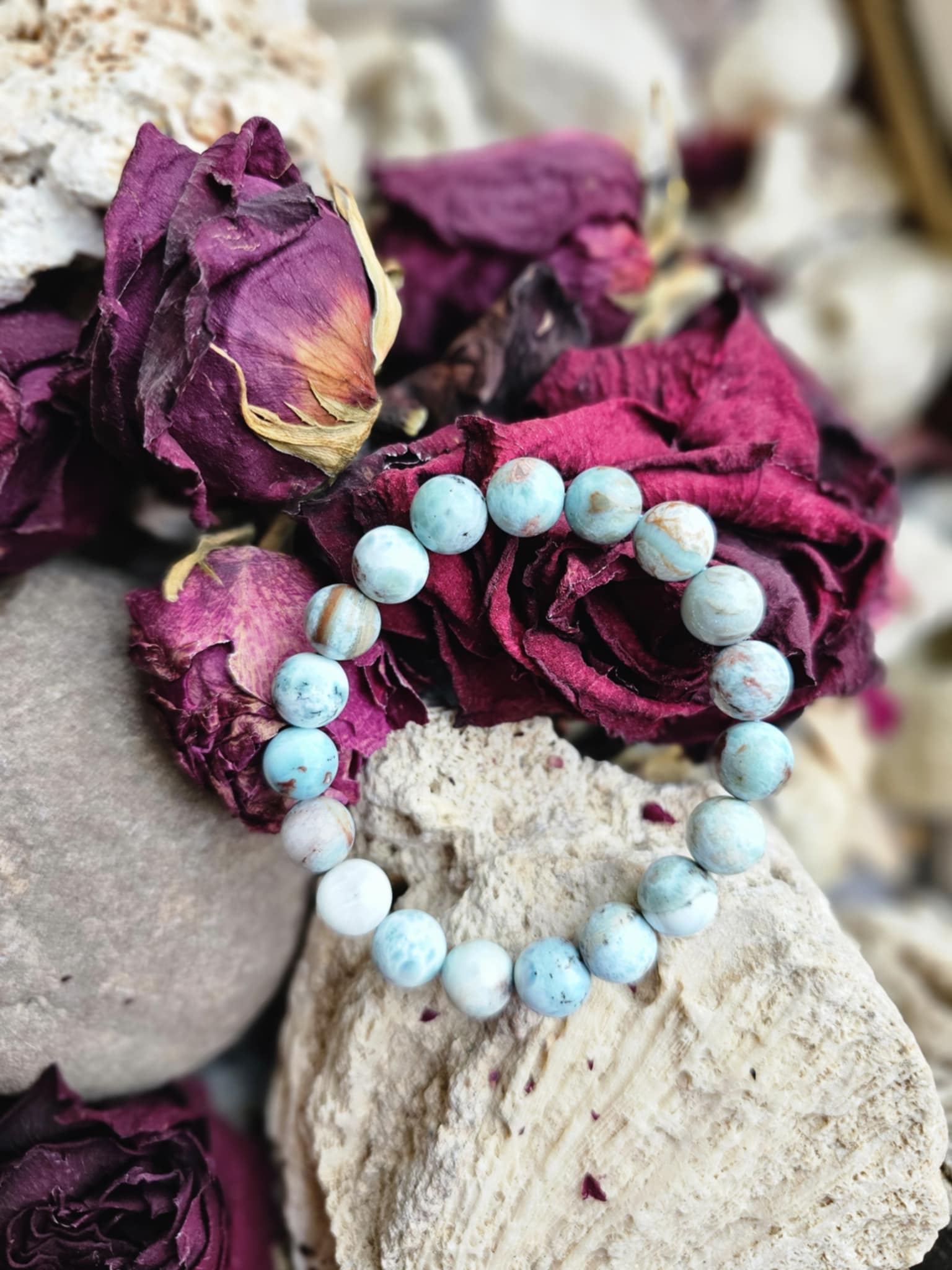 b1d517a7-90dc-4910-9ad8-17551332e76b