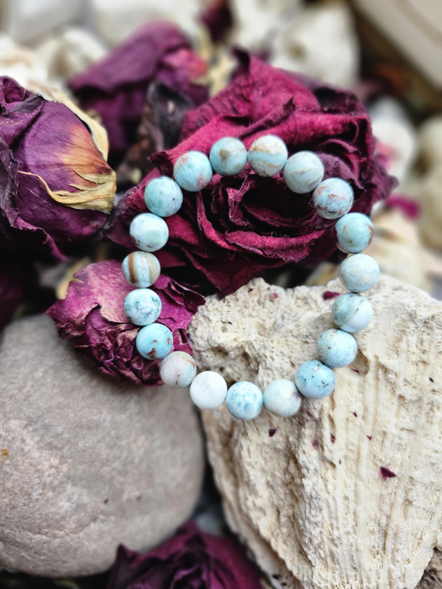 bfa38ff1-88d9-454c-abd3-0064ce11f404