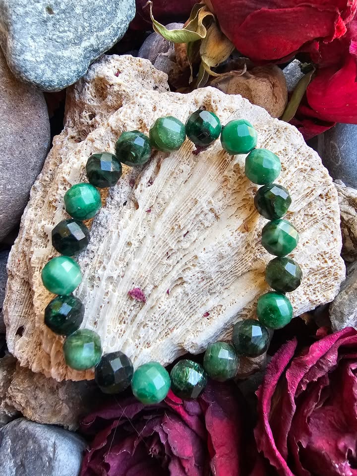 658531724_1648099456386944_2902227010611715609_n