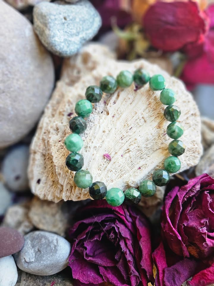 662390741_1215919557113597_9045406886945902761_n