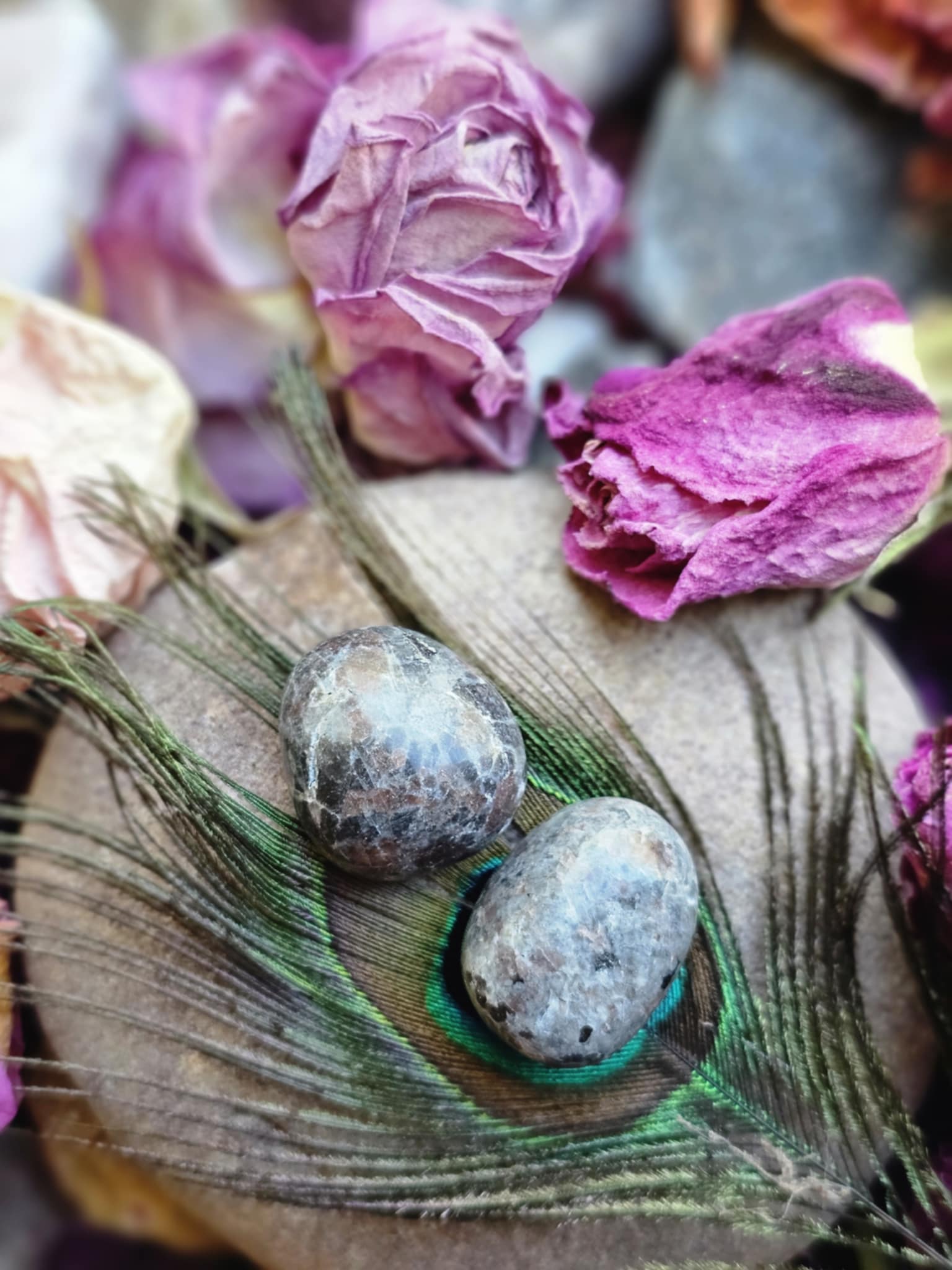Joperlitas (baimių įveikimas, pasitikėjimas)