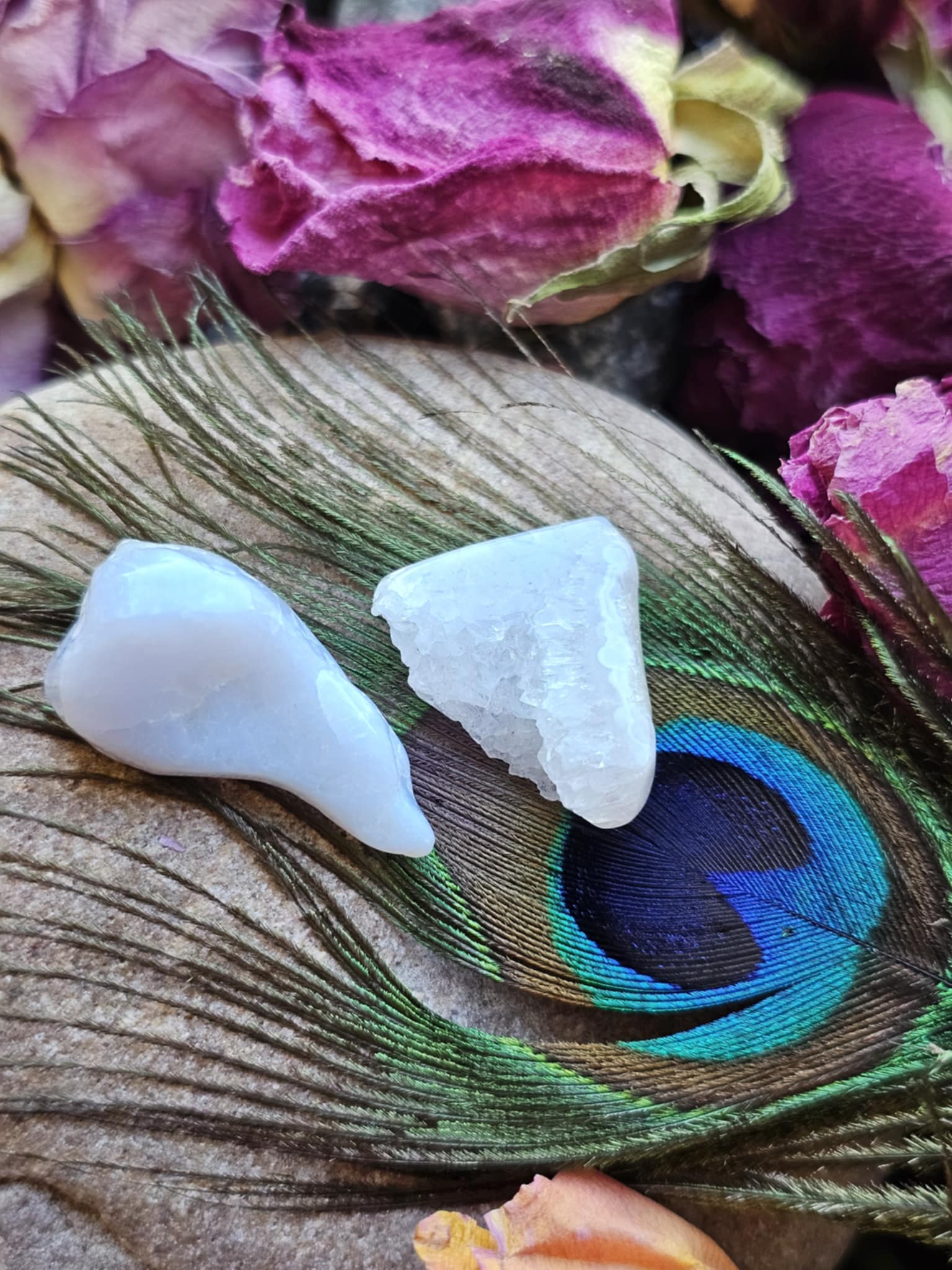 Chalcedonas (kalba, oratorystė, diplomatija)