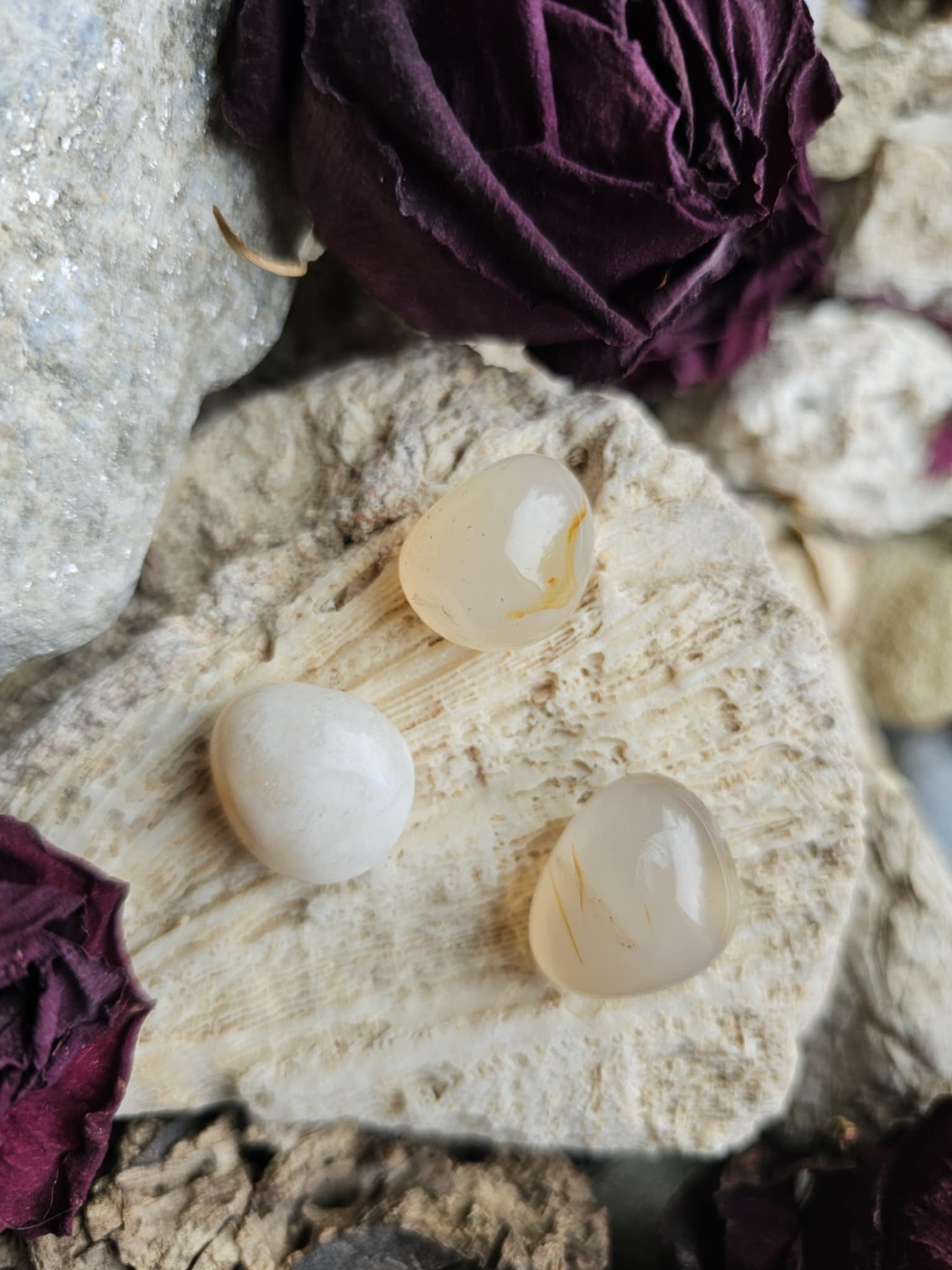 Agatas (ramybė, taika)