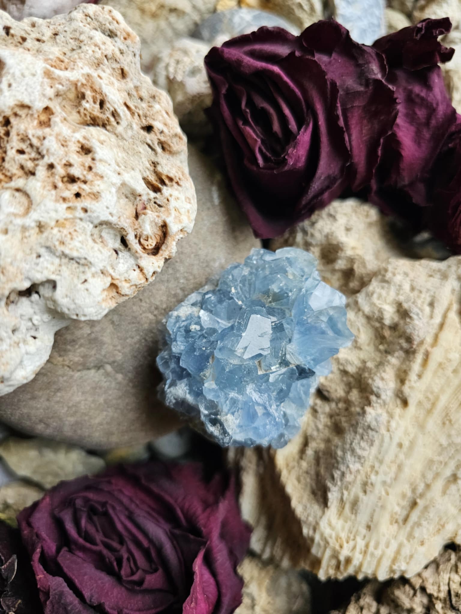 Celestinas (sėkmė, išmintis, pilnatvė)
