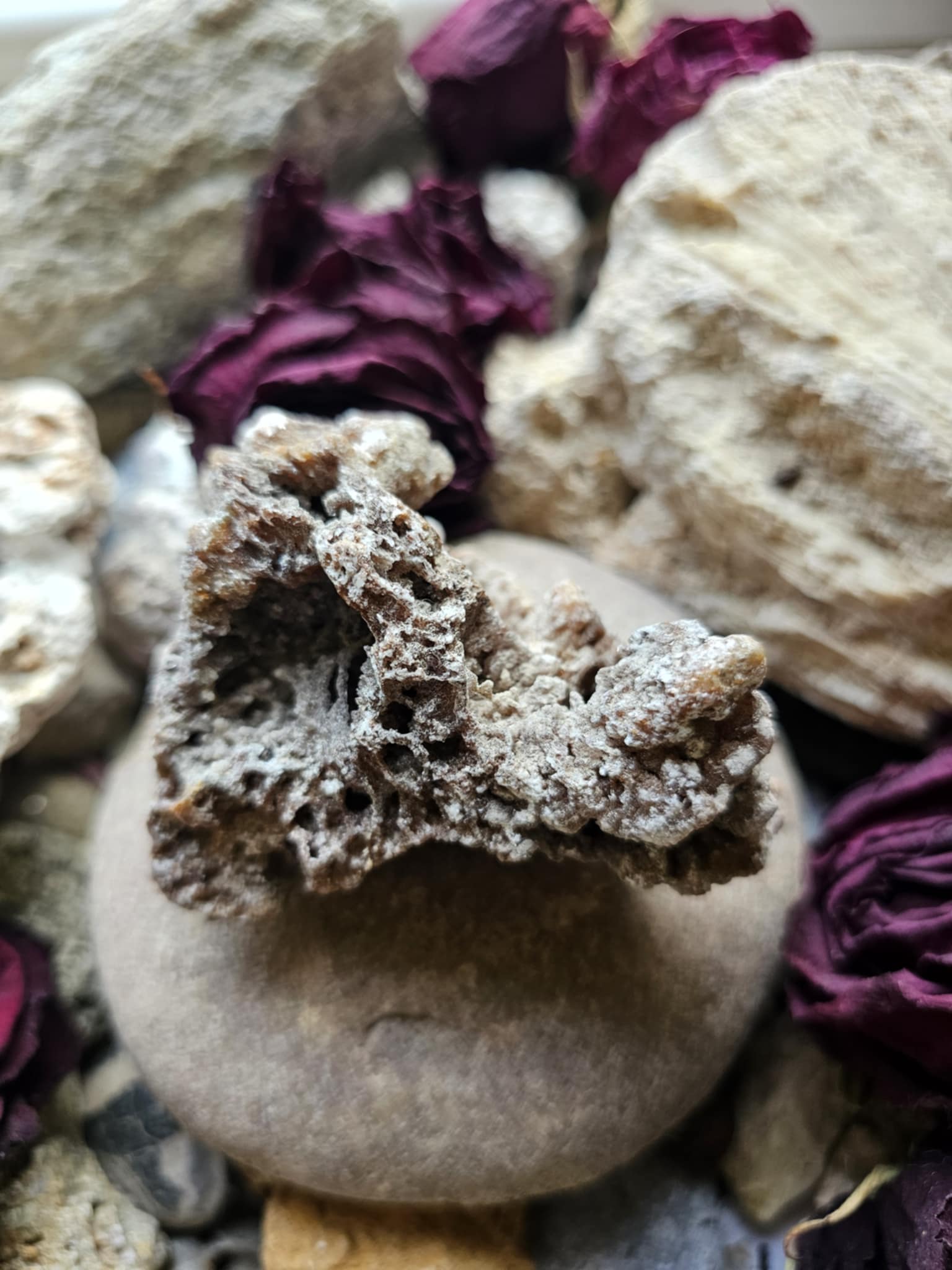 Kalcitas 129 g (sielos multivitaminas)