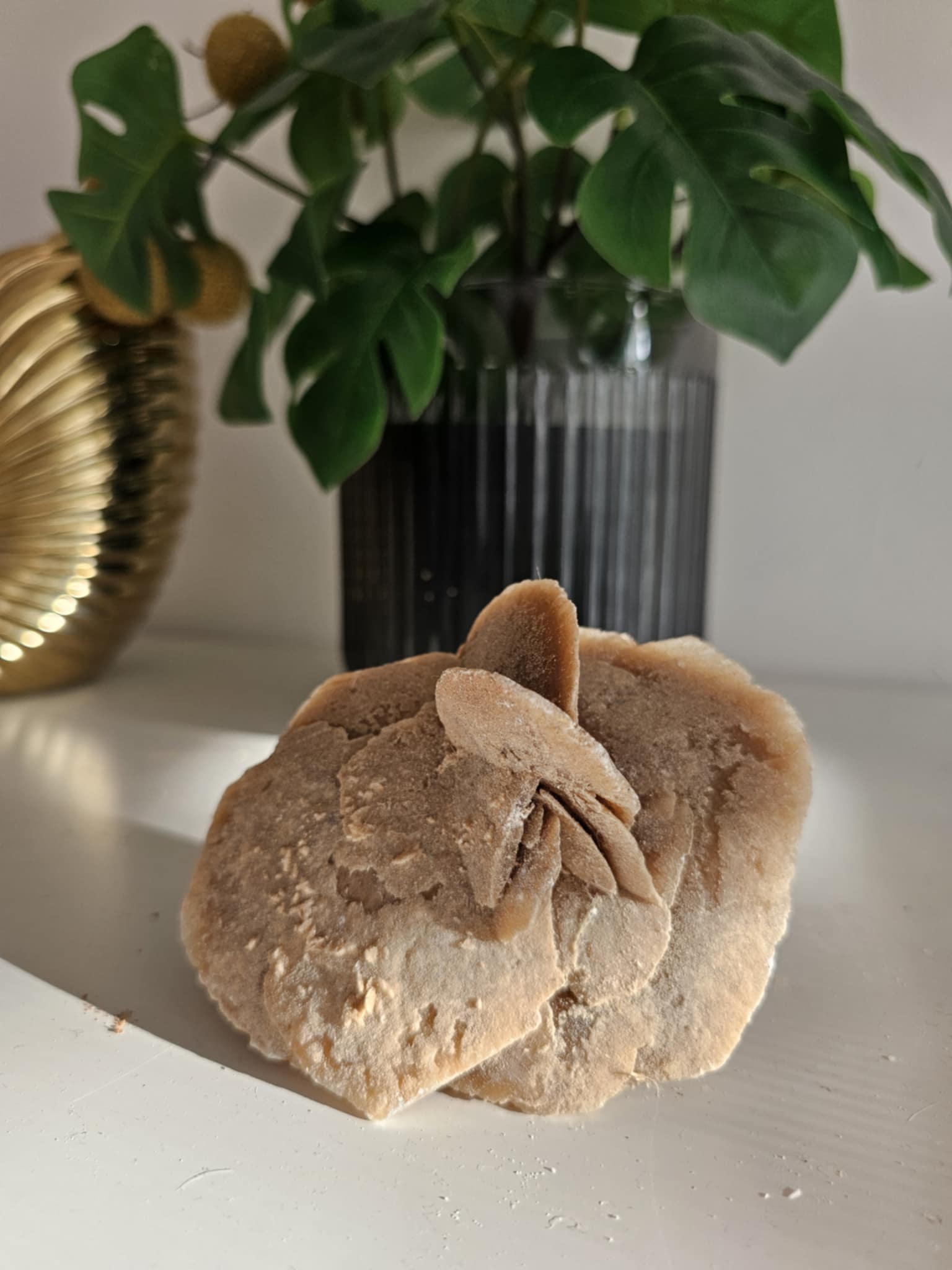 Dykumų rožė 234 g. (šeima, motyvacija, sėkmė)