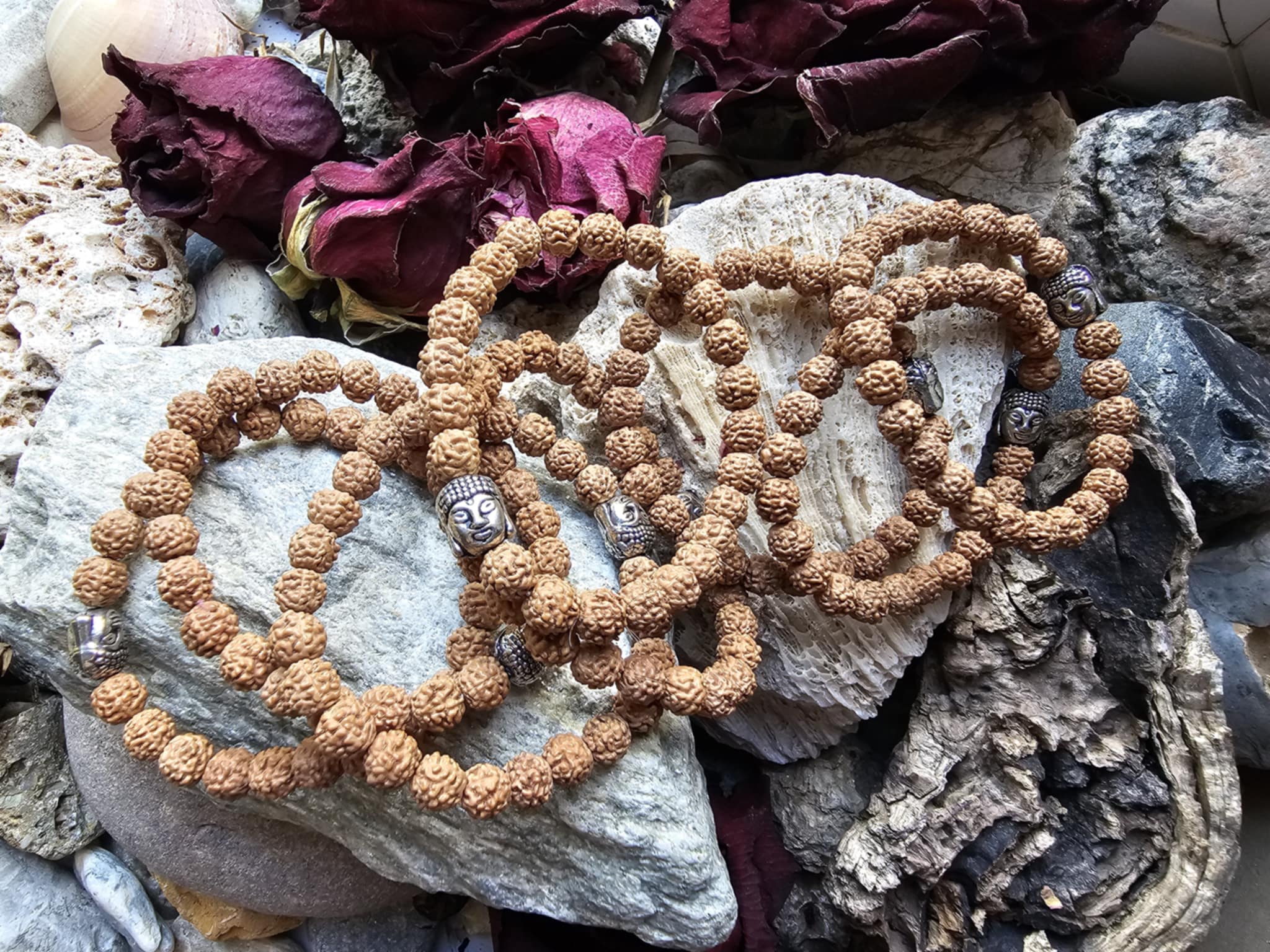 Rudrakša su Buda (palaiminimas ir vidinė ramybė)