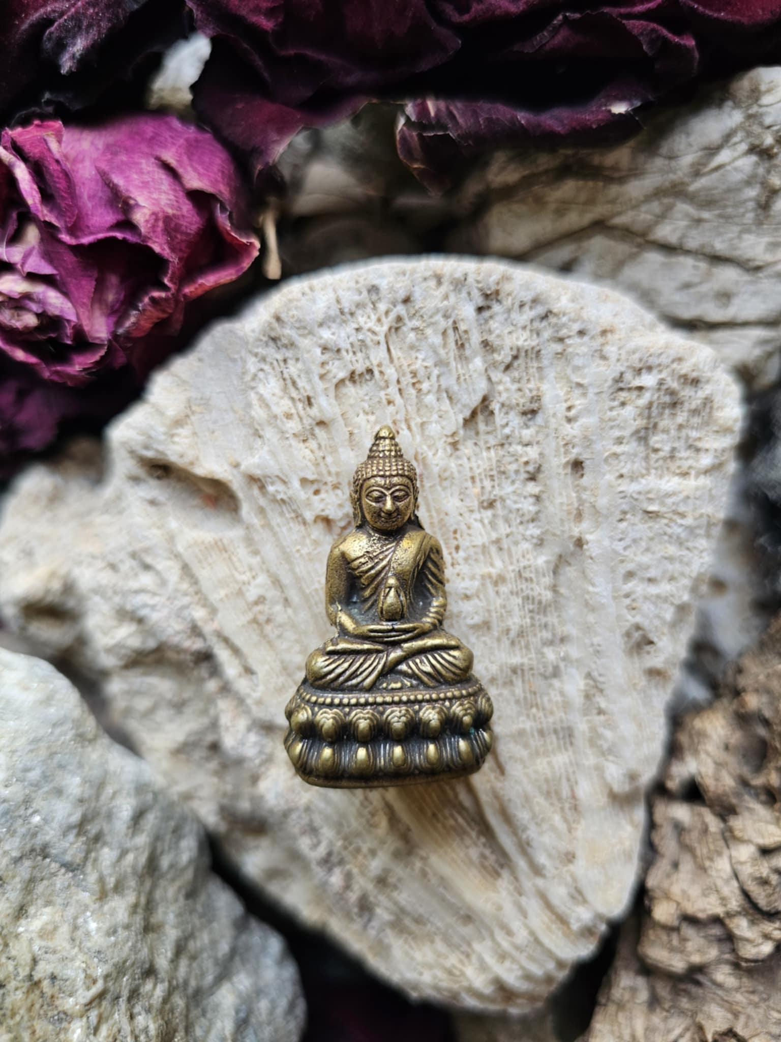 Buda (sąmoningumas, ramybė)