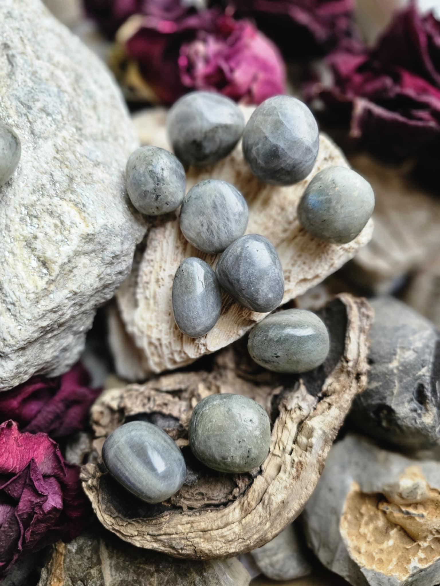 Labradoritas (apsauga, ryžtas, energija)