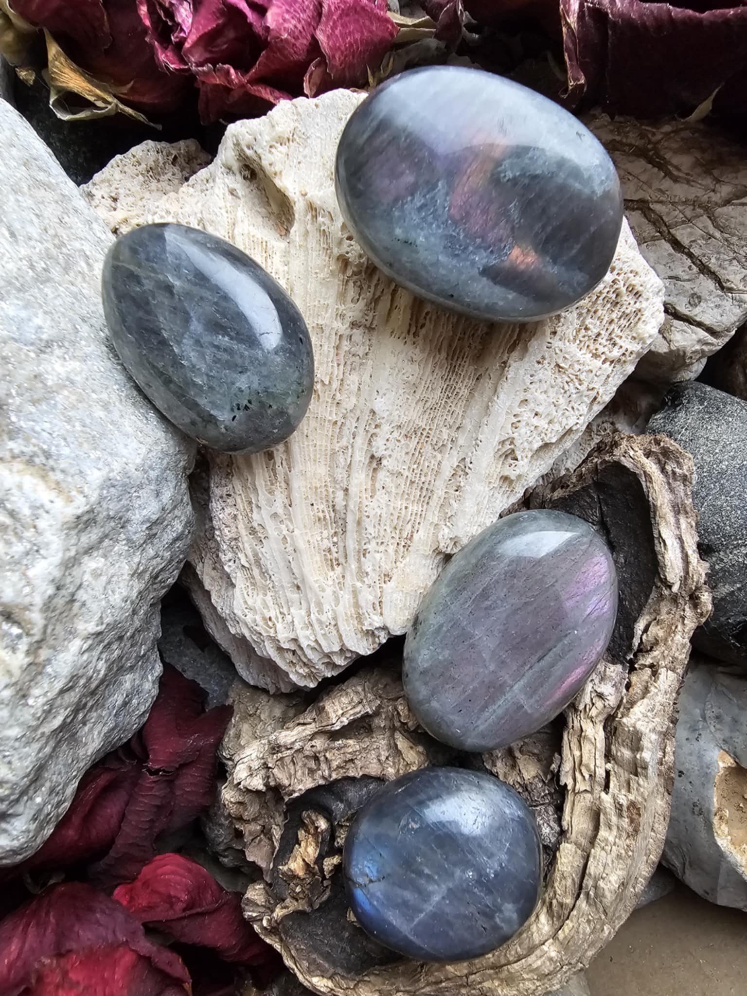 Labradoritas (apsauga, drąsa) delninukas