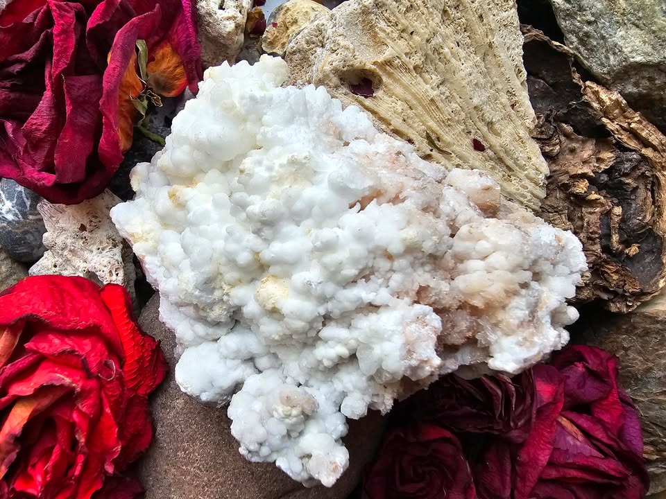 Kalcitas, sielos multivitaminas