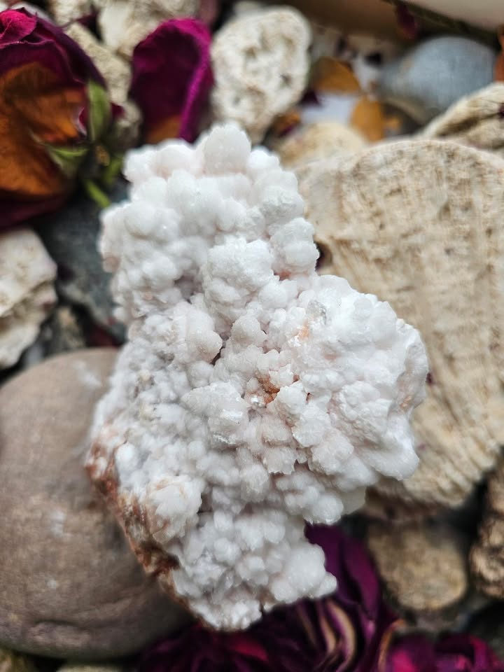 Kalcitas (sielos multivitaminas)