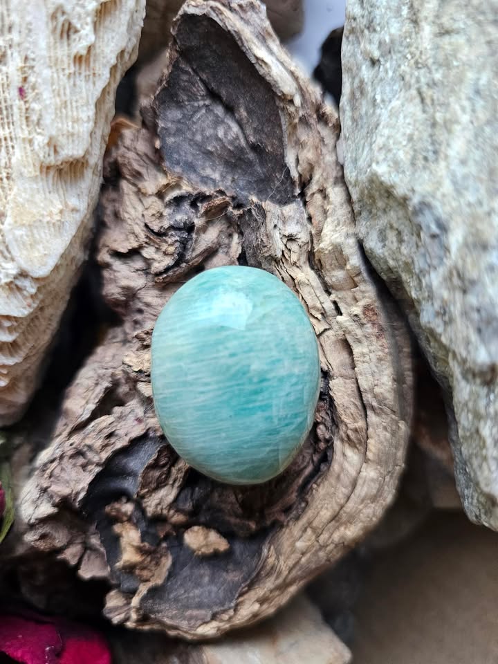 Amazonitas (pasitikėjimas, kalbėsena)