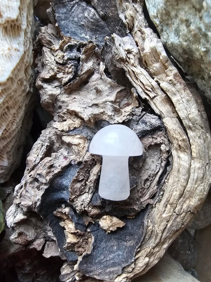 Rožinis kvarcas (meilė sau, harmonija)