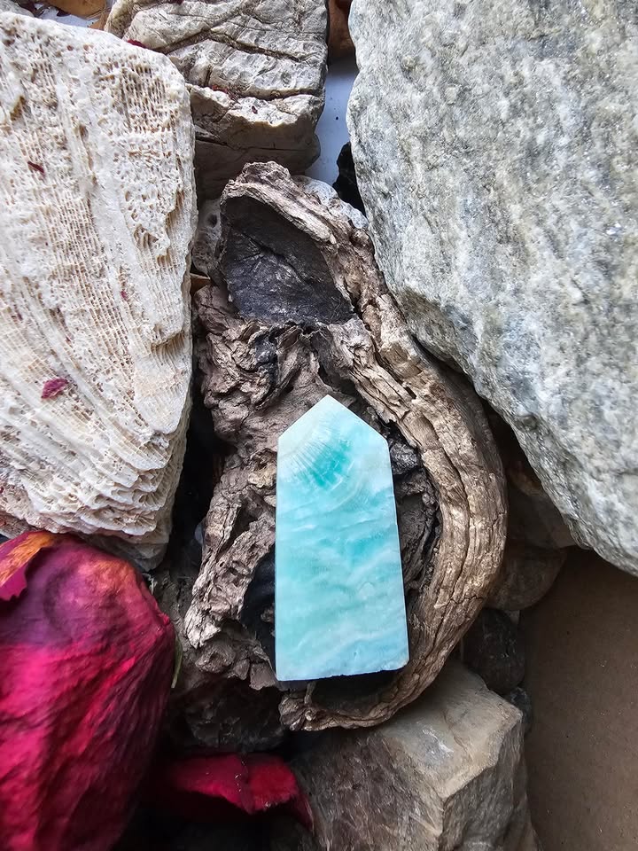 Hemimorfitas (transformacija, komunikacija, paleidimai)