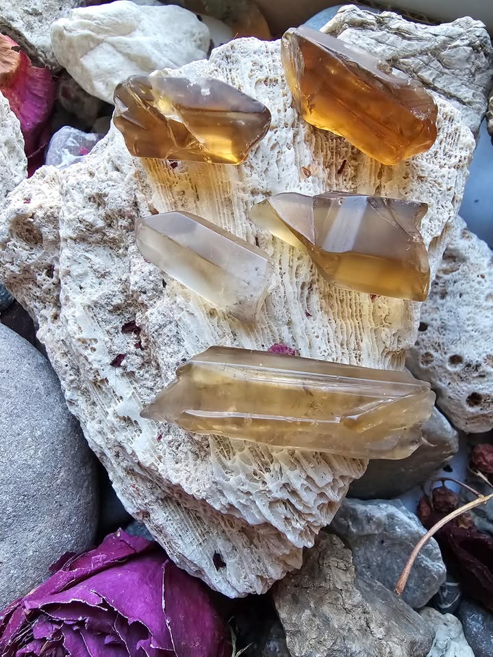 Citrinas (karjera, pinigai, gausa)