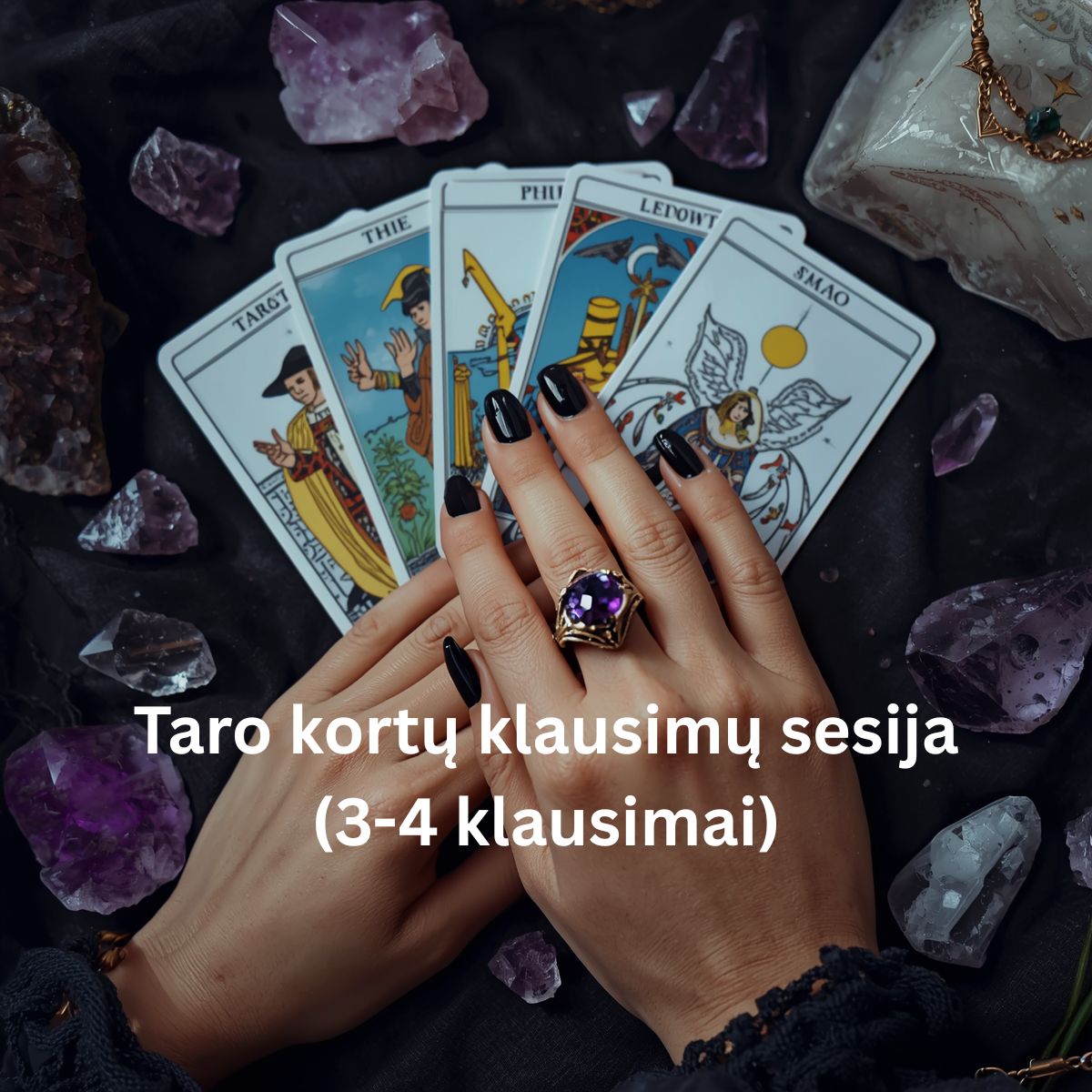 TARO KORTŲ SESIJA 1:1  (asmeninis, darbas ir kt.)