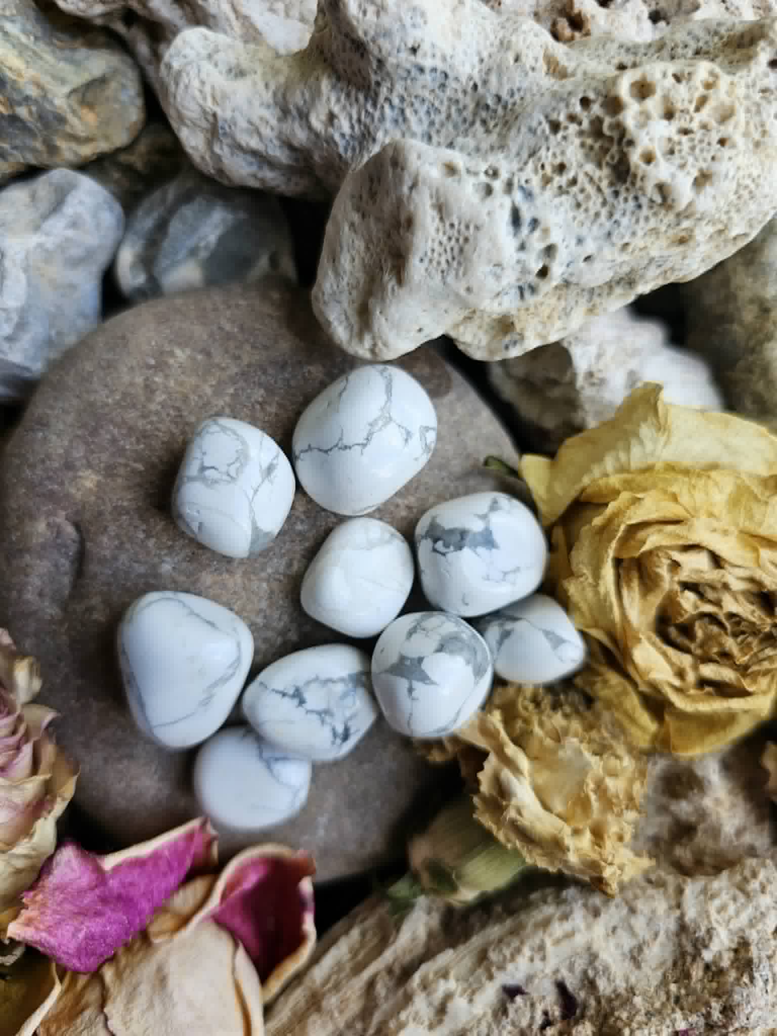 Haulitas (ramybė, antistresas)