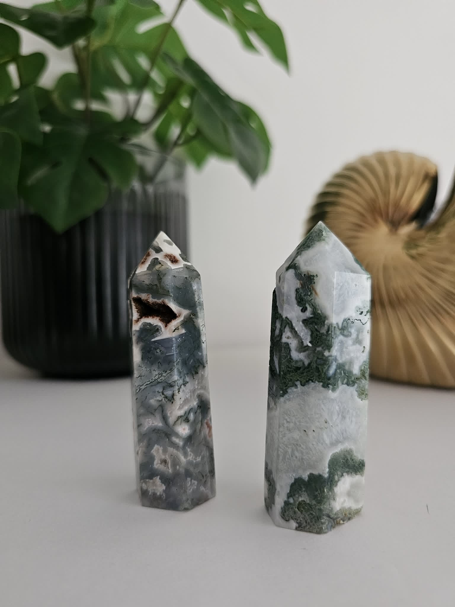Agatas samanų (įkvėpimas, gamta, gerovė)