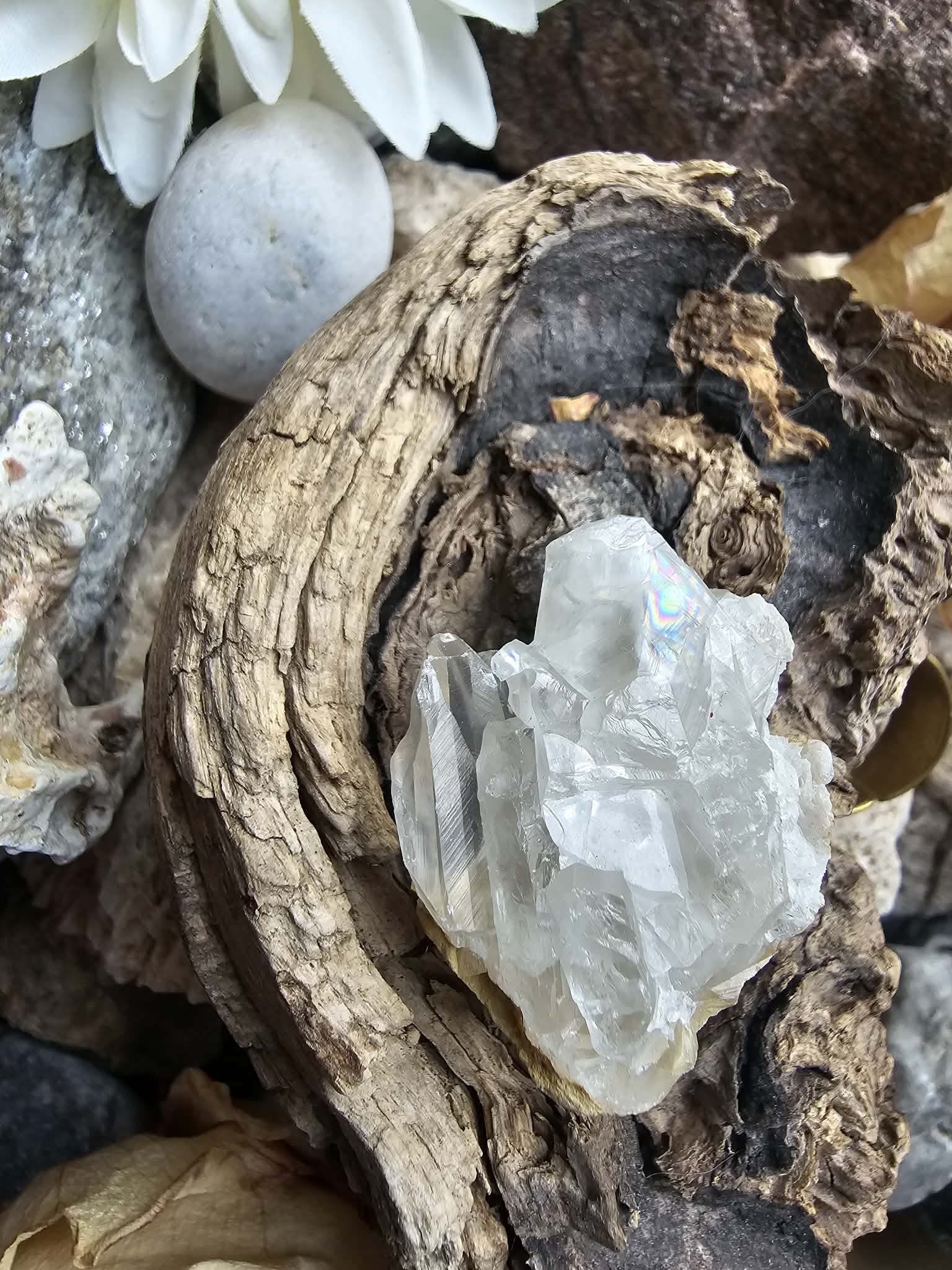 Kalcitas drūza (nauja pradžia, nuo streso)