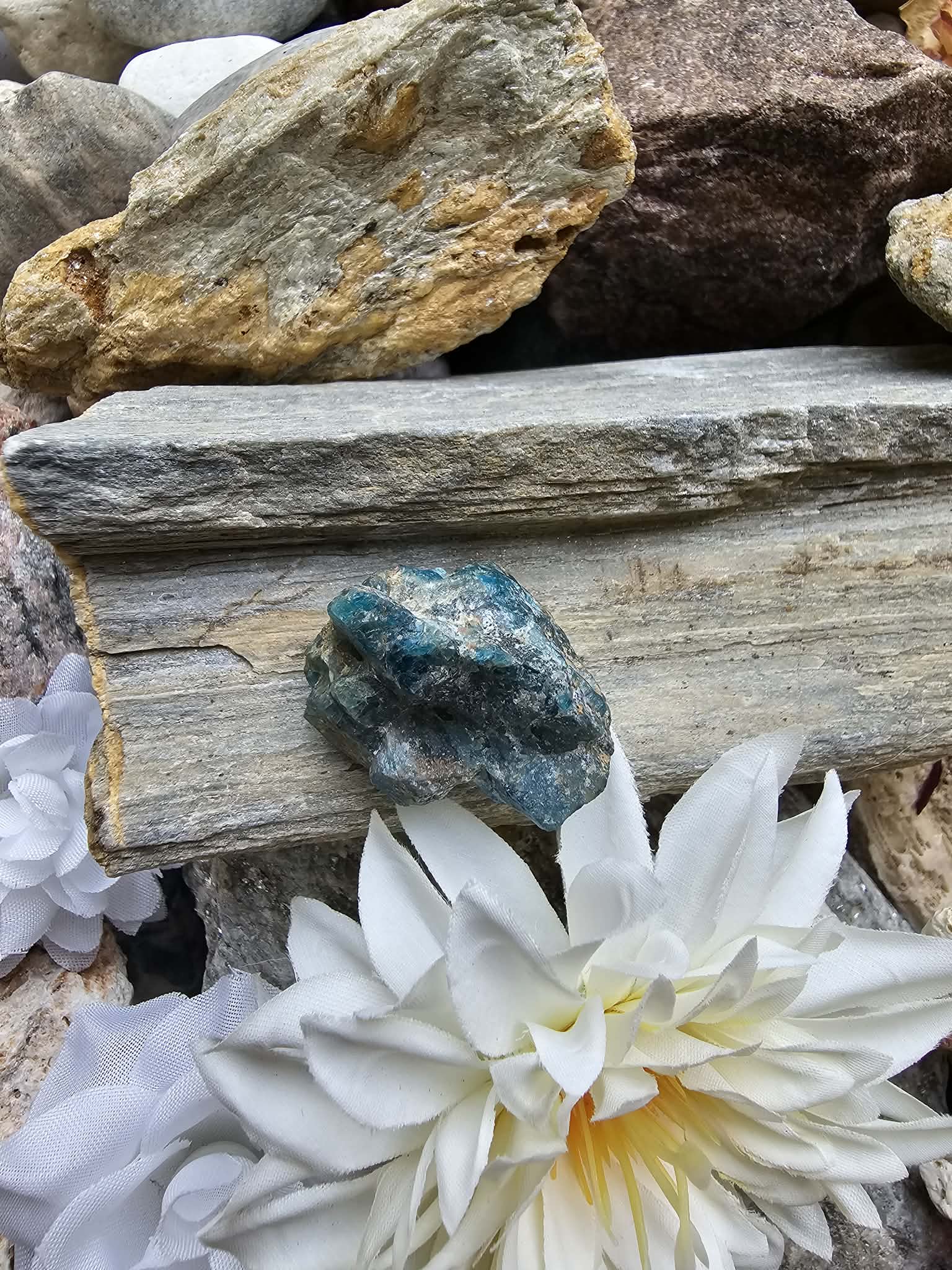 Apatitas (kalba, balansas)