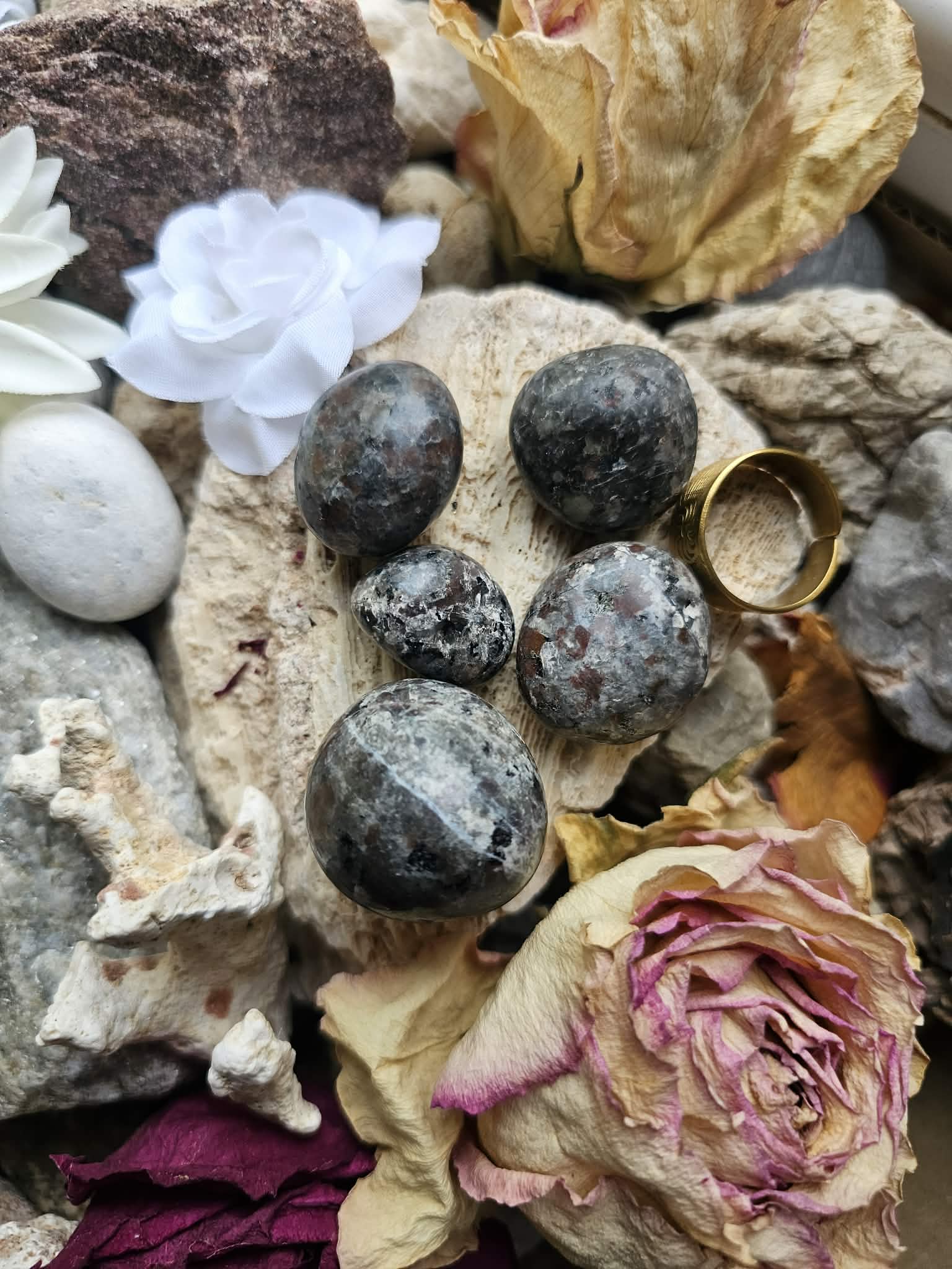 Joperlitas (baimių įveikimas, pasitikėjimas)