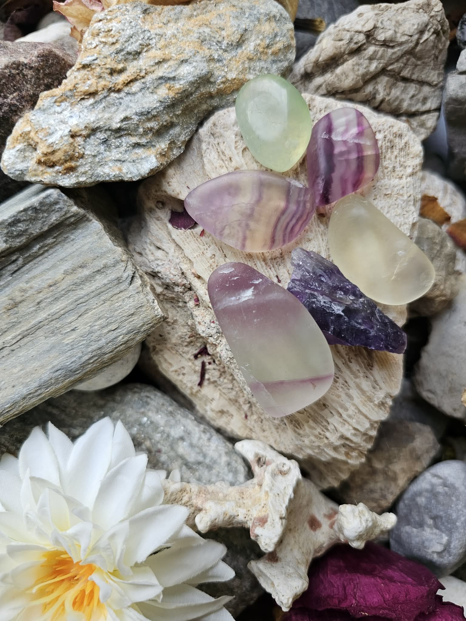 Fluoritas (kūrybiškumas, meistriškumas)
