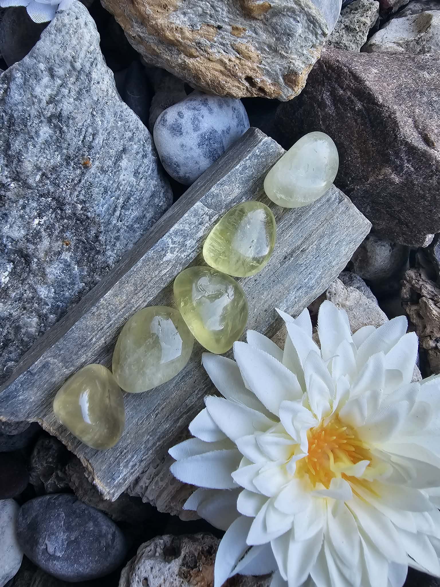 Citrinas (pinigai, karjera, pasitikėjimas)